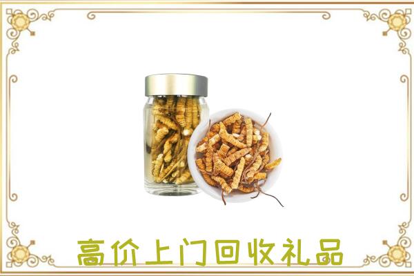 阜阳周边回收虫草